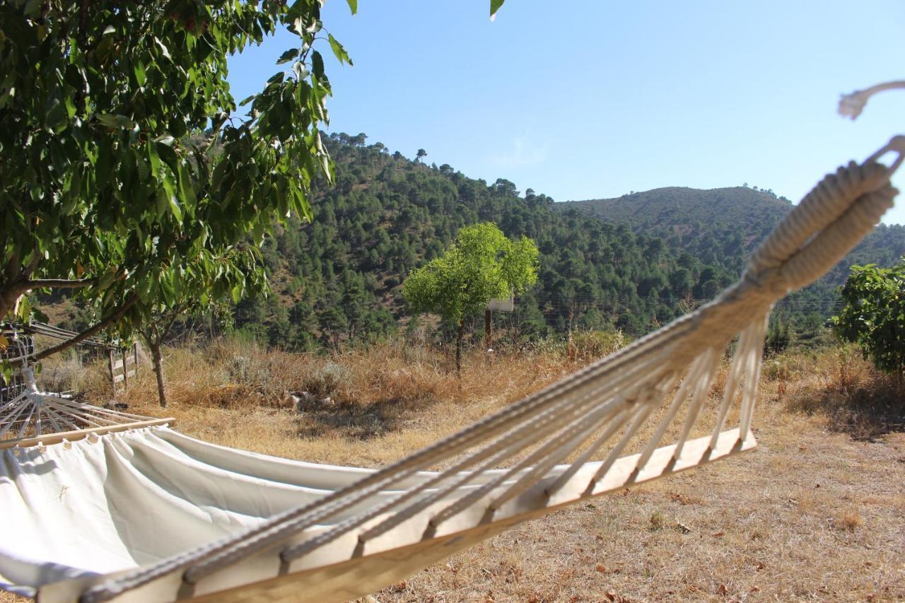 Esencia Lodge - Luxurious Off-Grid Cabin Retreat Almuñécar Extérieur photo