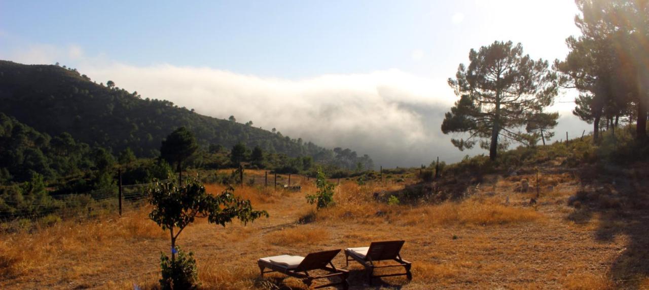 Esencia Lodge - Luxurious Off-Grid Cabin Retreat Almuñécar Extérieur photo